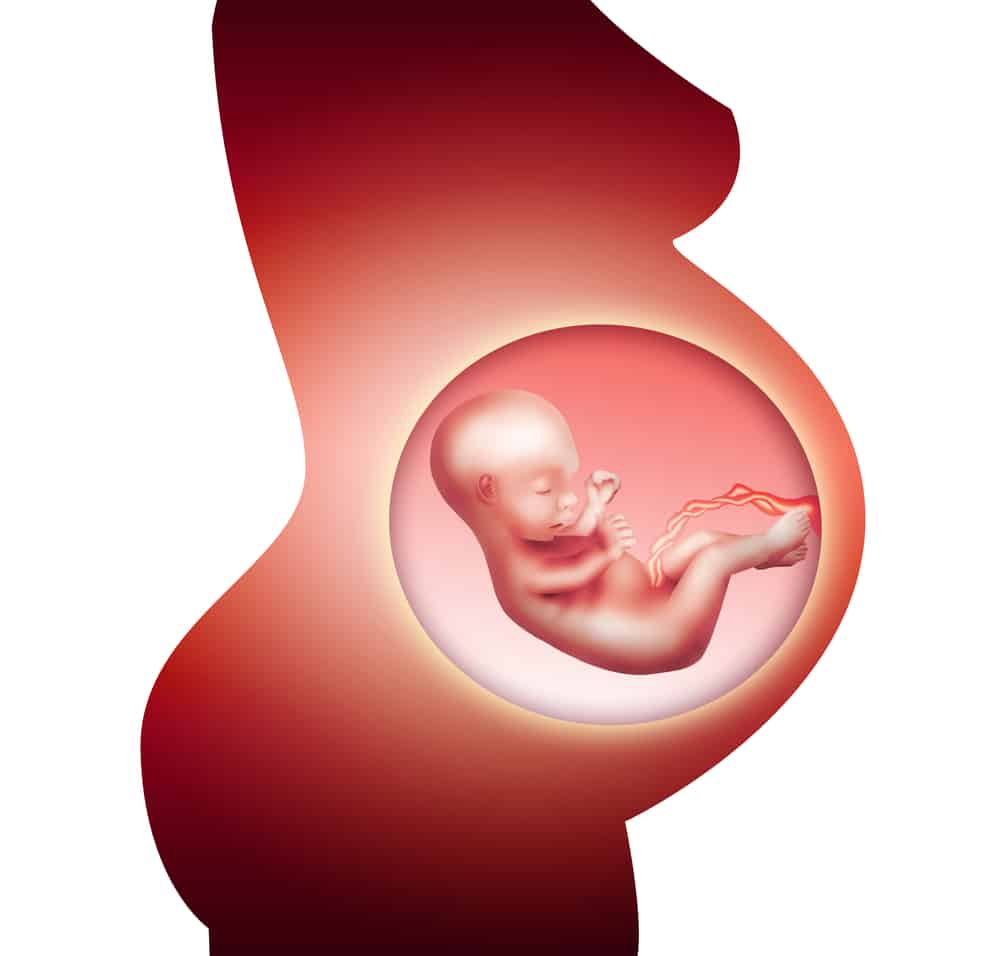 5 Kg E A Forca Que Pode Chegar Um Chute Do Bebe Dentro Da Barriga Da Mae Familia